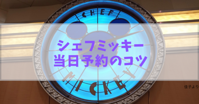 【料理写真多数】シェフミッキーは当日予約が狙い目！予約の取り方や裏技やコツなどをまとめたよ！